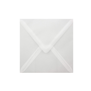 Buste Traslucent (trasparenti)